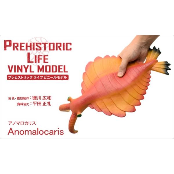 アノマロカリス ビニールモデル (FP-303)　p-61189