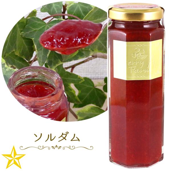 ソルダム すもも コンフィチュール 160g 山梨県産 食べる 宝石 ベリーファーム・A
