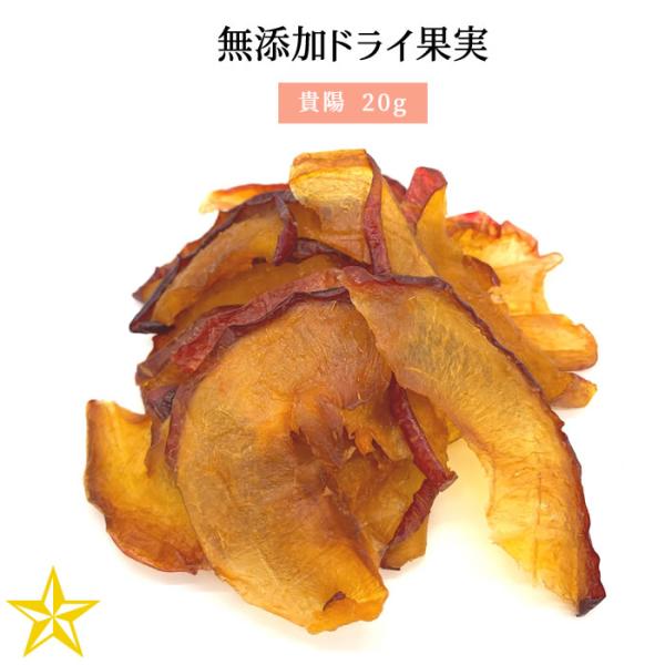 山梨県産 無添加ドライ果実 すもも 貴陽 20g 単品 ドライフルーツ 山梨乾燥果実工房なかむら