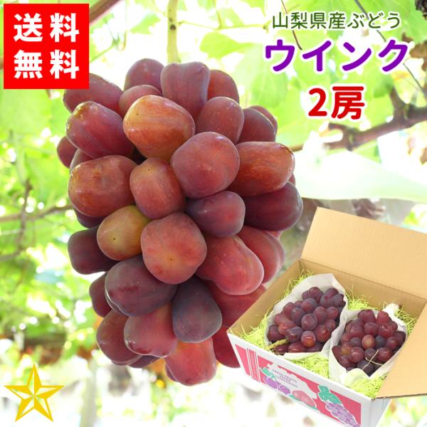 山梨県産 ぶどう ウインク 2房(約1.8kg箱) 赤ブドウ 希少品種 ドメーヌ茅ヶ岳 農家直送 送料無料