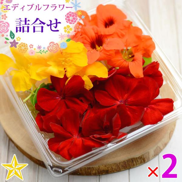 ヤマシダ　エディブルフラワー　飾り葉 食用花 食べる花 エディブルフラワー ゼラニウム ナスタチウム