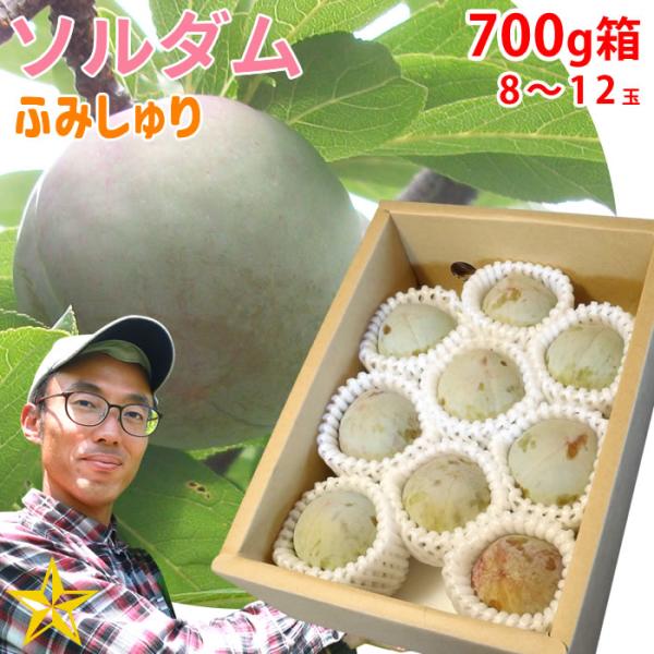 すもも プラム 山梨県 八代産 送料無料 農家直送 ふみしゅり ソルダム 700g箱 (8〜12玉)