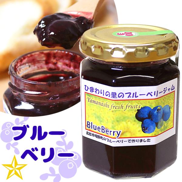 ジャム ブルーベリー 山梨県産 フィールドトリップ ブルーベリージャム 南アルプスファームフィールドトリップ