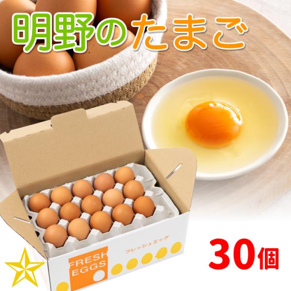 日照時間日本一になった北杜市明野町で生産された赤い殻のたまごです。通常のたまごより黄身の色が濃く、食卓に鮮やかさをプラスします。お好みの食べ方でご賞味ください。【下記需要でも人気です】お中元 ／ 夏ギフト ／ お歳暮 ／ 冬ギフト ／ お祝...