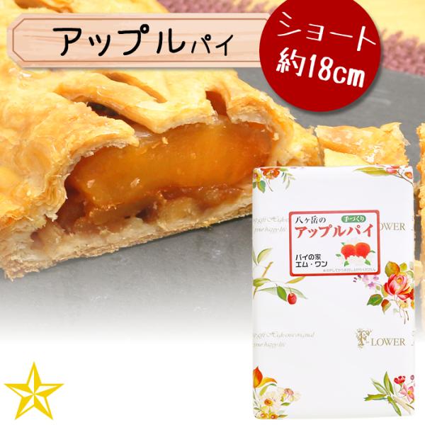 アップルパイ ショート 八ヶ岳 国産 りんご 手づくりパイ