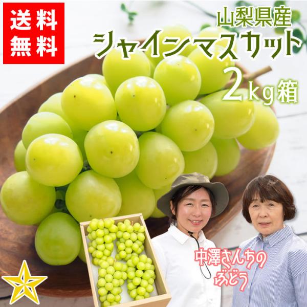 【送料無料】 山梨県産ぶどう シャインマスカット 2kg箱(3〜5房) 中澤さんのブドウ 山梨県 南アルプス市産 産地直送 農家直送