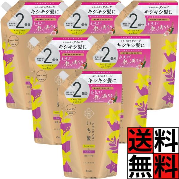 いち髪 シャンプー 詰め替え ダメージリペア カラーケア 大容量 ノンシリコン アミノ酸  ヘアケア ダメージケア 予防 色落ち 防止 毛先 キシキシ 髪の毛 ツヤ …