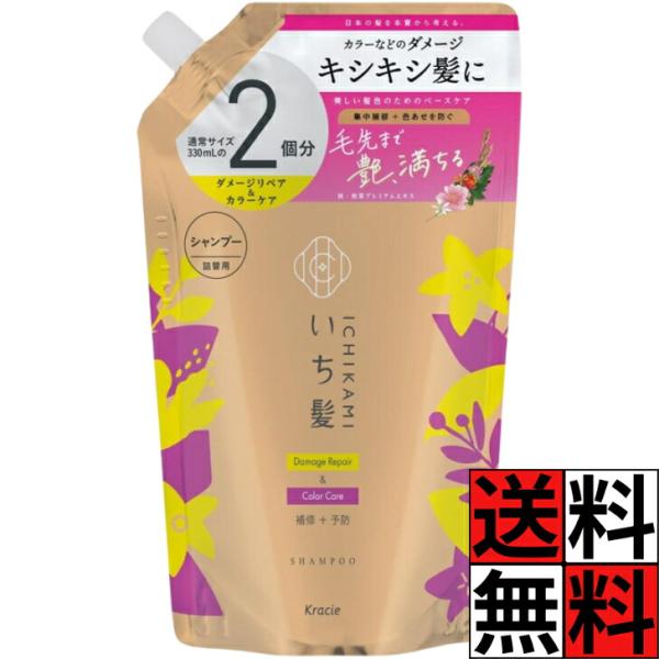 いち髪 シャンプー 詰め替え ダメージリペア カラーケア 大容量 ノンシリコン アミノ酸  ヘアケア ダメージケア 予防 色落ち 防止 毛先 キシキシ 髪の毛 ツヤ …