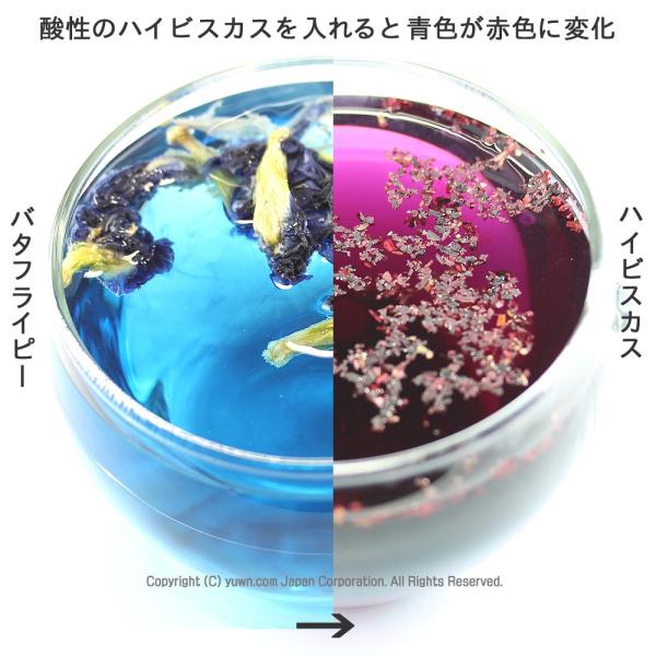 青いお茶 バタフライピー 青色のハーブティー お試し 10g 青いハーブティー アンチャン茶 蝶豆花茶 チョウマメ茶 Buyee Buyee บร การต วกลางจากญ ป น ซ อจากประเทศญ ป น
