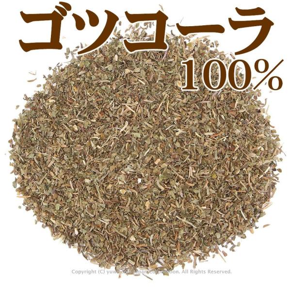 ScR[ Jbg Ɩp500g ScR c{NT n[ueB[ S[cReB[ S[cR ڑ  t ڂ gotu kola tea