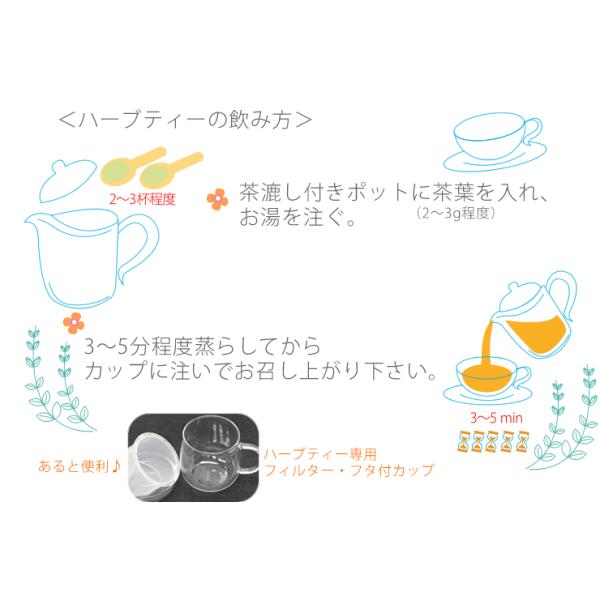 Seasonal Wrap入荷 ギムネマ茶 ギムネマシルベスタ お徳用0g ハーブティー