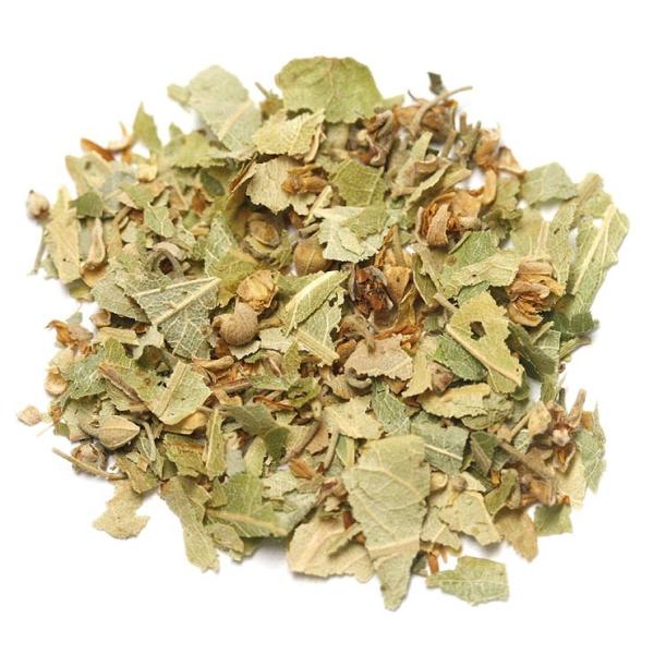 ft[[t Jbg 50g n[ueB[