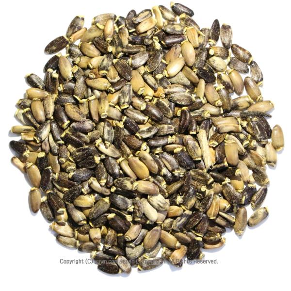 ~NVXV[h }AAU~ q@100g n[ueB[