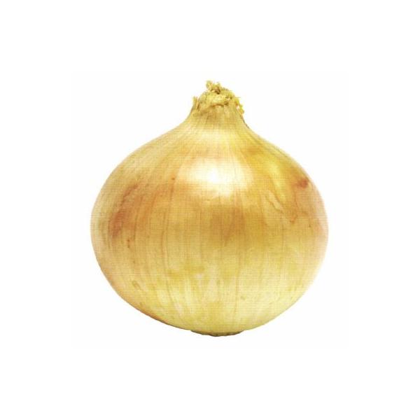 []^}lMpE_[i܂˂FYj Ɩp10Kg