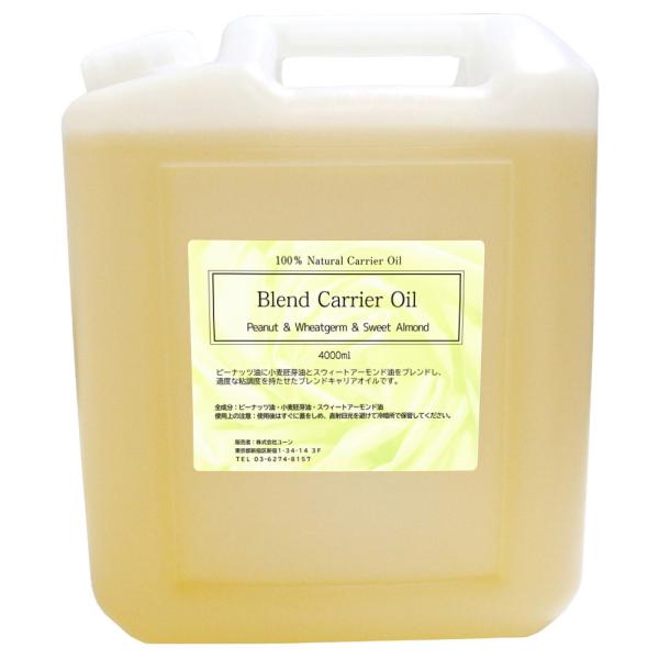 s[ibcEEXEB[gA[h uh}bT[WIC 4000ml