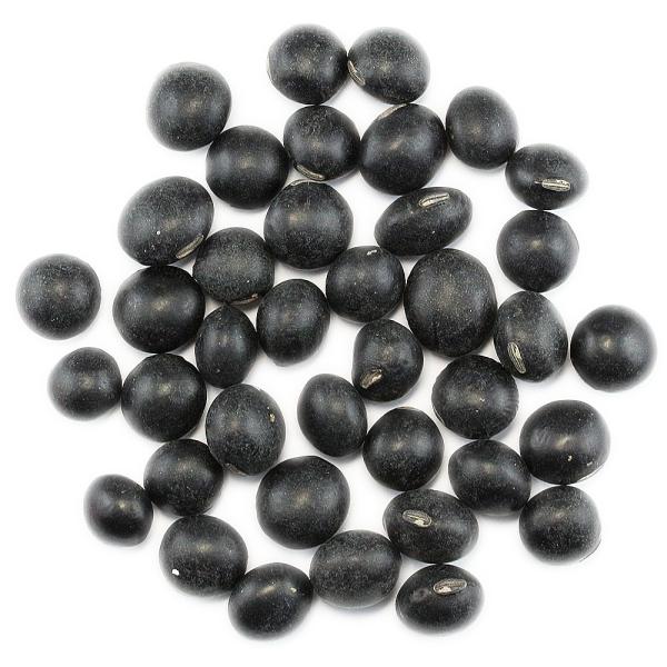 单哤 Ɩp5Kg i{錧Yj2.8 