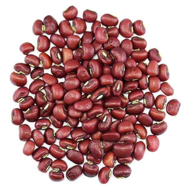 shopyuwn_ths-sasage200