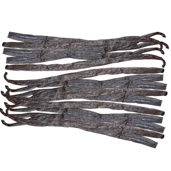 ojr[Y z[ Ɩp25{ AO[hi }_KXJYi16-20cmxjٗp ٍޗ  P[Lޗ XC[cޗ َq̌ޗ