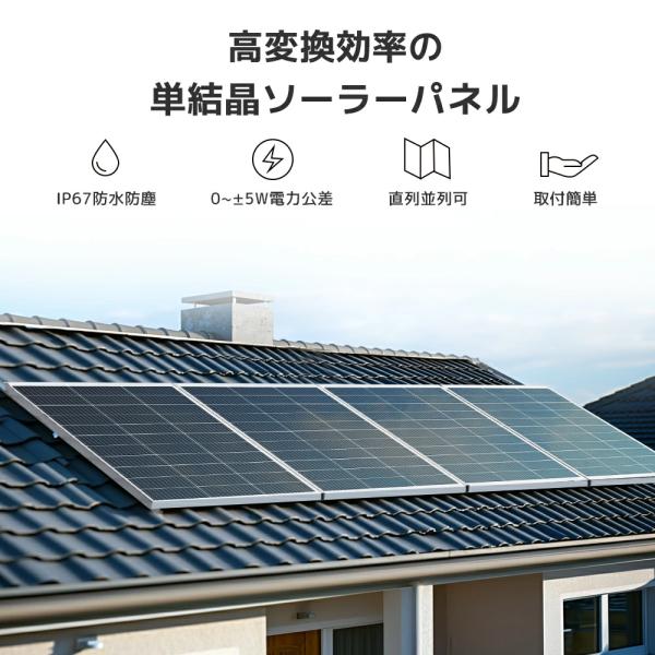 shoryu-store_100w-20v_1_d_20250708183331