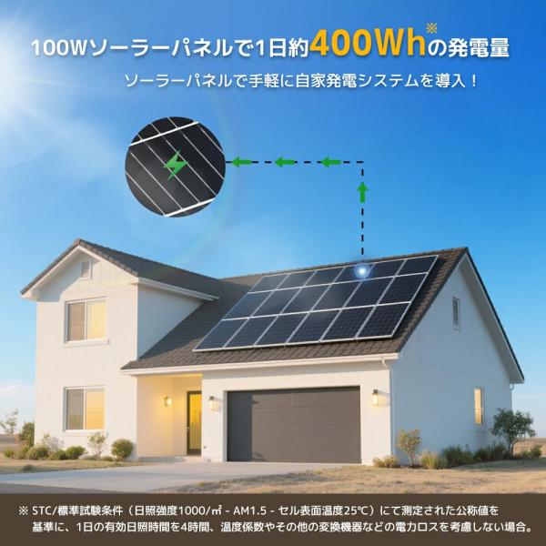 shoryu-store_100w-20v_4_d_20250708183335