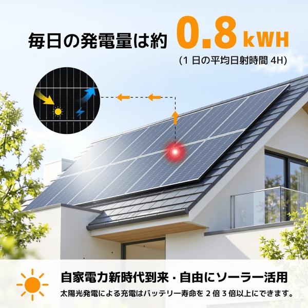 shoryu-store_200w-20v_4_d_20260918145720
