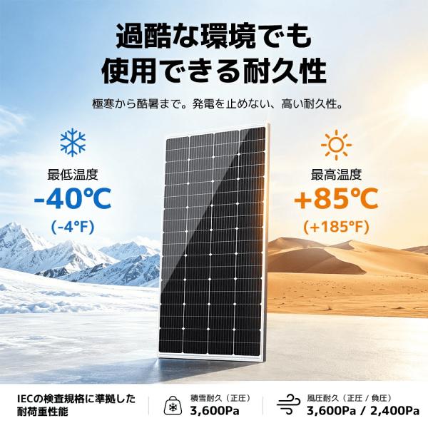 shoryu-store_200w-20v_5_d_20260918145721