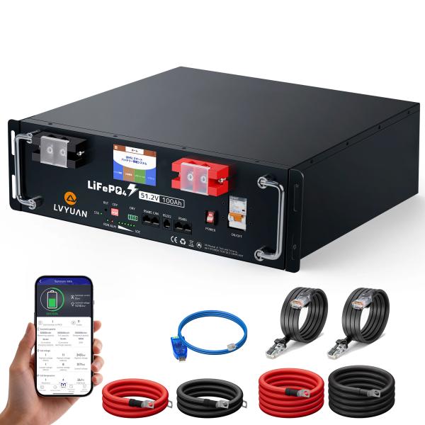 新モデル LVYUAN 51.2V 100AH 5.12kWh LiFePO4 リン酸鉄リチウムイオン