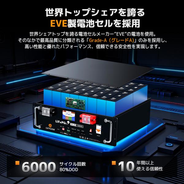 shoryu-store_48v-jj-100ah_2_d_20260227122953
