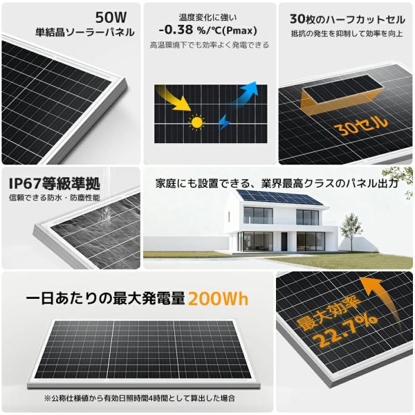 shoryu-store_50w-s_1_d_20260110150423