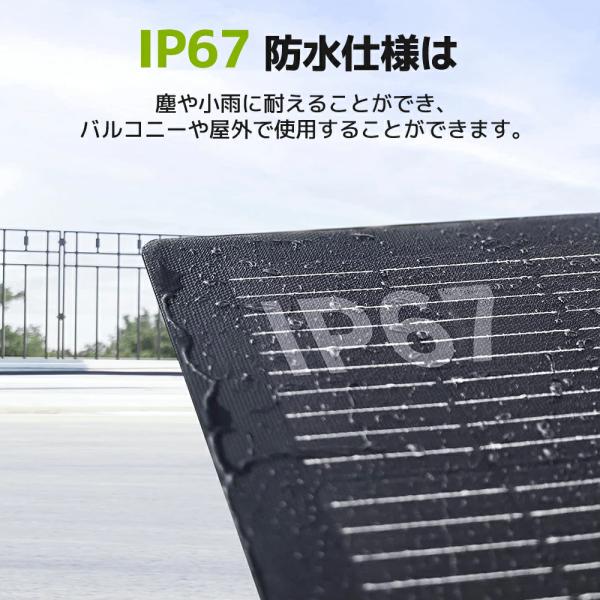 shoryu-store_etfe-400w_5_d_20251107120345