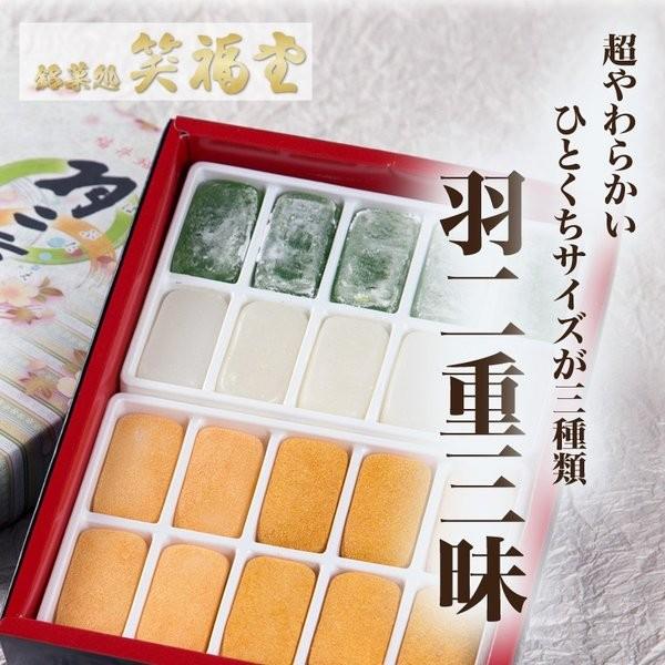  HdO 20 (5+5+Ȃ10) y䌧YĎgpz