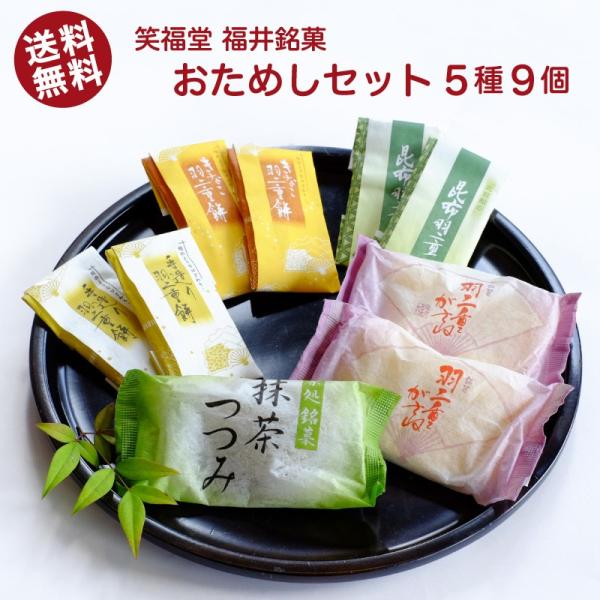 5ނ̐lC Hdَ݂̂qlߍ킹I