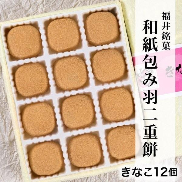 a݉Hd Ȃ12 y䌧YĎgpz