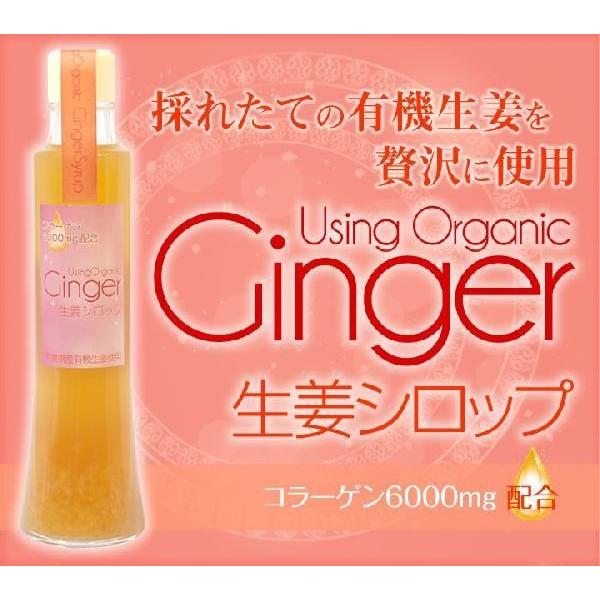生姜シロップ 260g 1本 オーガニック 有機生姜 あわせしょうが ジンジャーシロップ 国産生姜 ちば県産品 7849 1 01 生姜工房 通販 Yahoo ショッピング