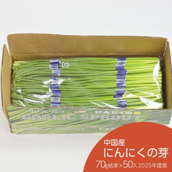 約38cmの長さのにんにくの芽を1束70gにまとめました。1箱あたり50束になります。にんにくの芽は、にんにくより匂いが控えめで刺激も弱いとされています。また、ビタミンB1の働きを持続させるアリシンが含まれていて、疲労回復・冷え対策に適した...