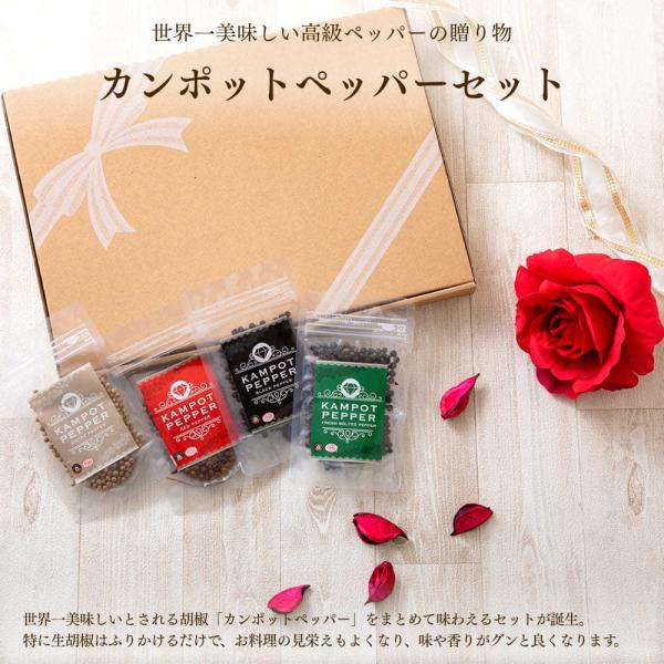 J|bgybp[Zbg 䂤pPbgyMtgz[TtbV RVE _Ch]9/19ɂȂꍇ܂