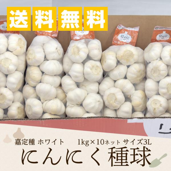 特栽にんにく 1kg×10ネット 中国産 送料無料（沖縄を除く)