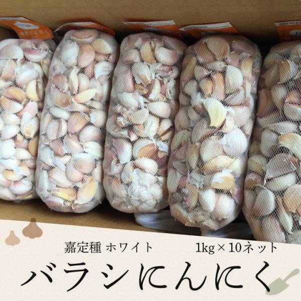 【種用】嘉定種ホワイト バラシにんにく 1kg×10ネット 中国産＊10/6頃入荷次第発送