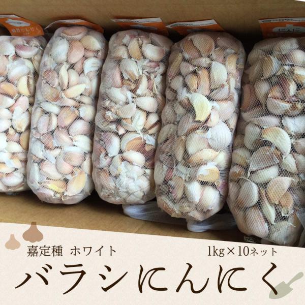 【種用】嘉定種ホワイト・バラシにんにく 4g前後/1kg×10 (中国規格4Lサイズ/1kgネットの目安玉数14-16個)