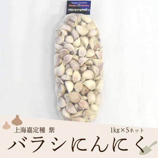 CÒ펇 oVɂɂ 1kg×1lbg Y
