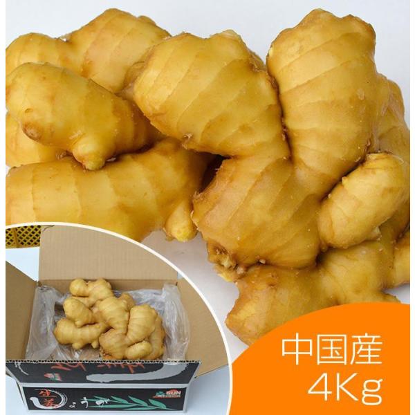 shougakoubou_seika-china-4 shougakoubou_seika-china-4