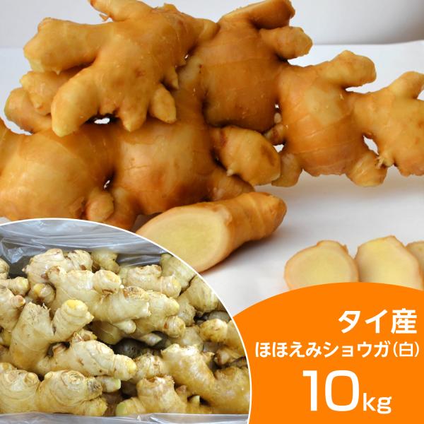 タイ産生姜の特徴：タイ産白生姜。果肉が黄色で根茎は肥大良好の近江生姜。繊維質が少なく、辛味が強いのが特徴。爽やかな風味と奥深い辛味が特徴であらゆる料理に相性が良くです。中華料理・日本料理・インドカレー・和食料理・居酒屋など様々なお店で使われ...