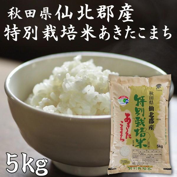 あきたこまち 秋田県産 秋田県仙北郡産 特別栽培米 5kg 令和6 あきたこまち 秋田県産 秋田県仙北郡産 特別栽培米 5kg 令和6