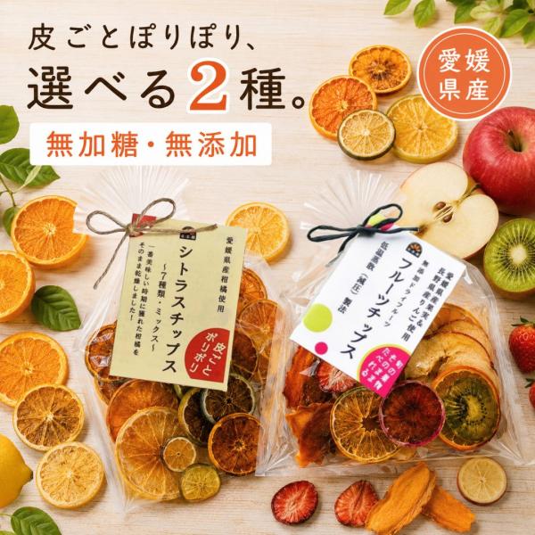 敬老の日 げんき本舗 ドライフルーツ 無添加 無加糖 国産 みかん レモン オレンジ いちじく ドライいちじく いちご チップス シトラス