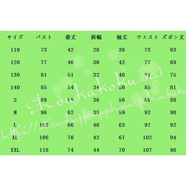 shoukakokusai_hsxxqq09_4