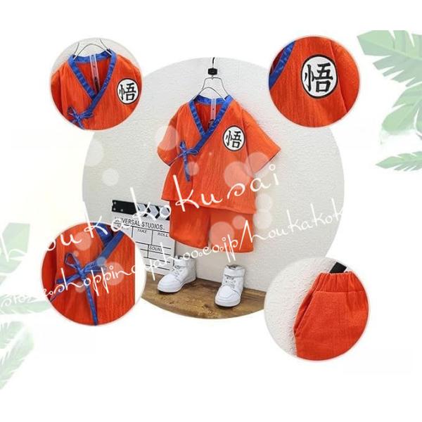 shoukakokusai_oocosyi317_4_d_20240521162742