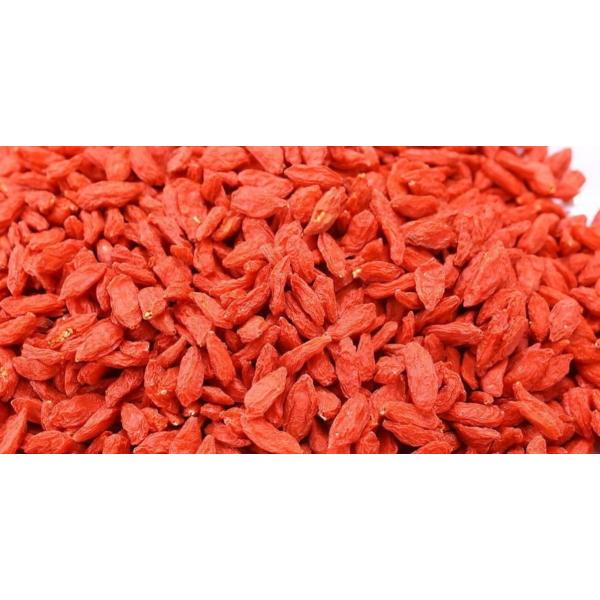 l؊X@Y@NR̎iSWx[j500gA̎AmXAٍޗAVA؍ޗ