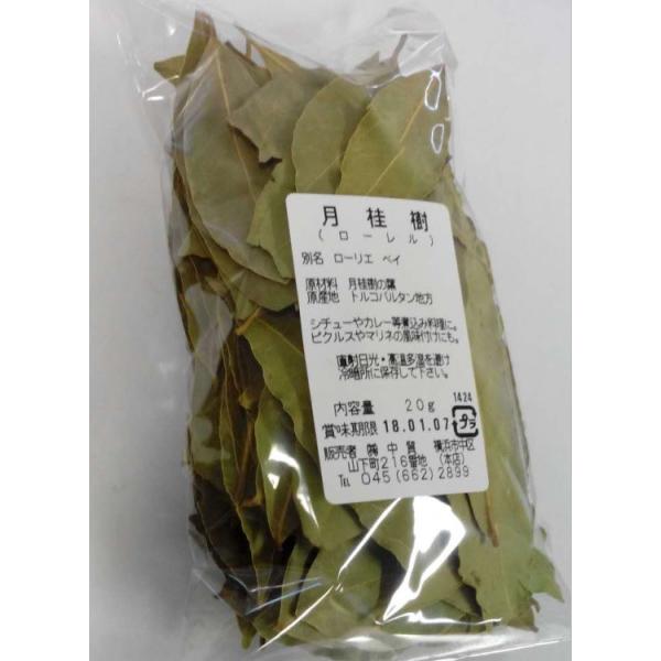 l؊X@t@荢Iji[j̗t@@V`[AJ[AύݗɁIIt@20g@