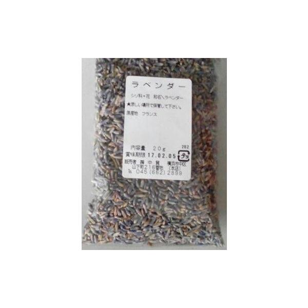 l؊X@x_[@20Ax_[̉ԁA