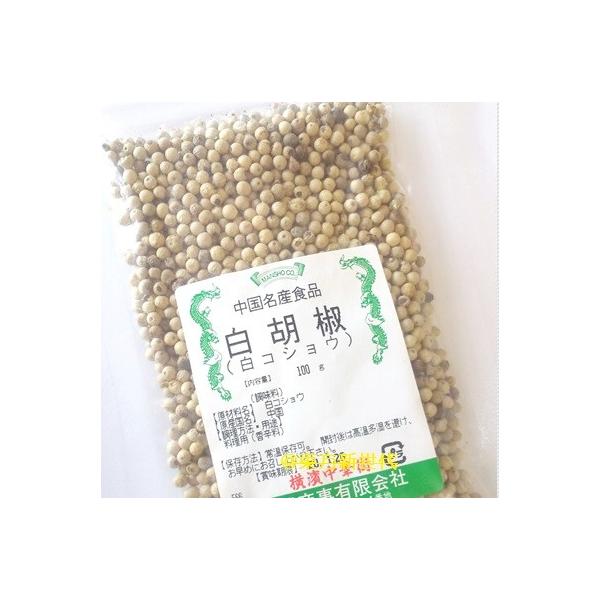 l؊X@ӞiRVEjz[EA100AVAAَqA̍hƂėp܂